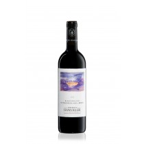 Blaufränkisch Biiri DAC Reserve 2021